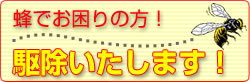 蜂の駆除致します